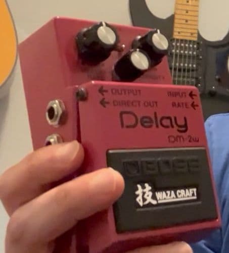 Boss DM-2w