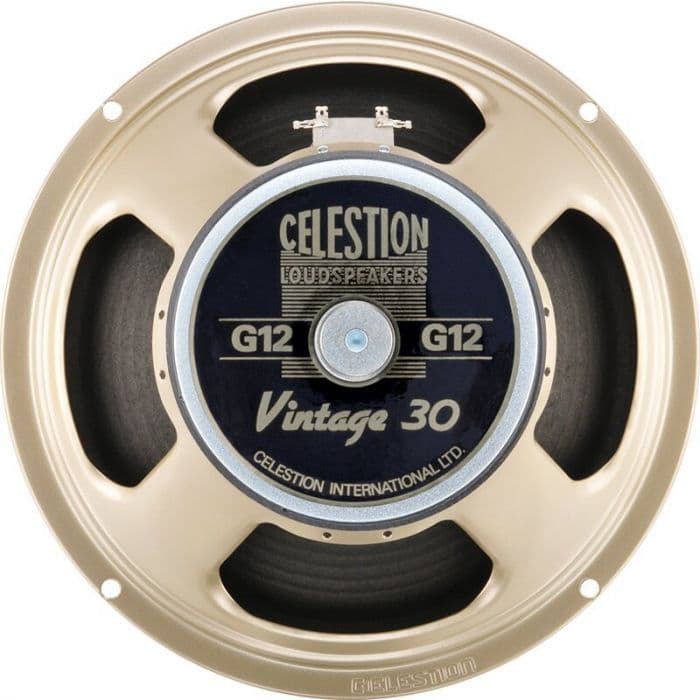 Celestion Vintage 30 oversized cab nam captured