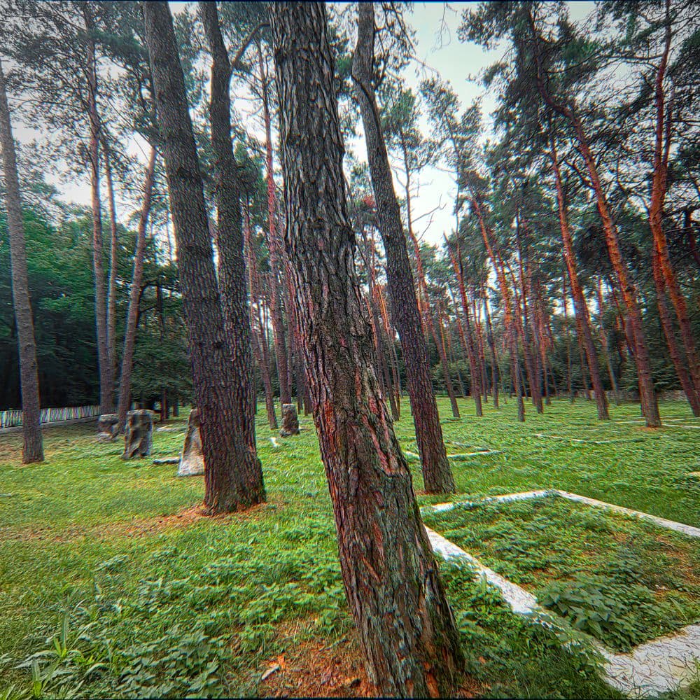 Old Cemetery (+Birds) • THAMNOS