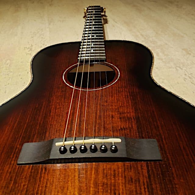 Acoustic Guitar Parlor piezo to microphone models