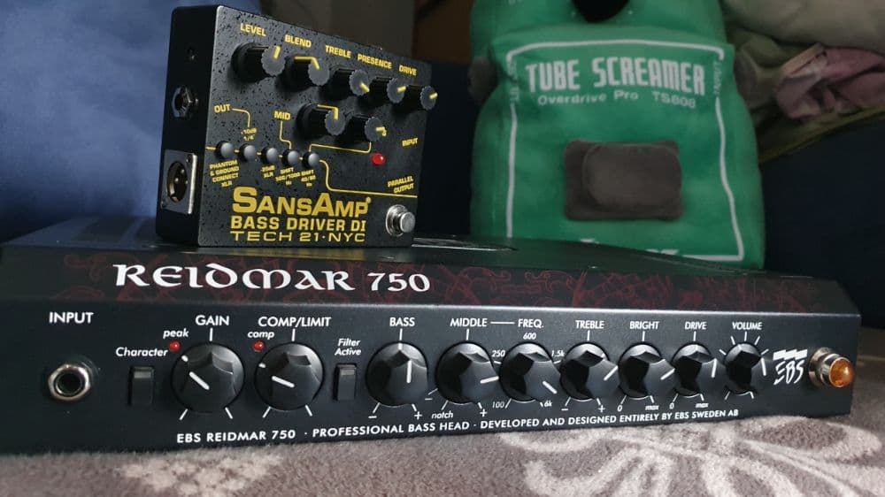 EBS Reidmar + Sansamp Tech21 Bass Driver DI