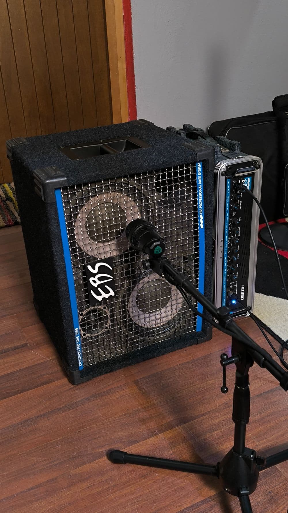 EBS (Marcus Miller, Tal Wilkenfeld, Henrik Linder...)