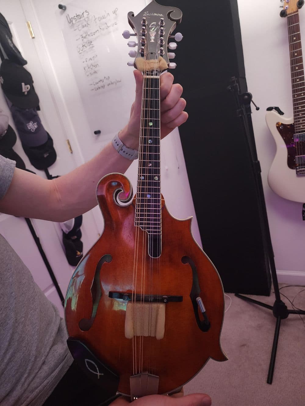 Eastman Mando K&K pickup Correction