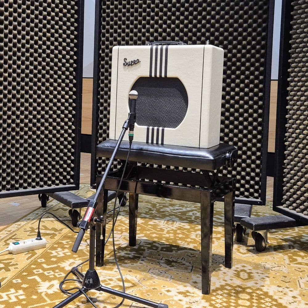 Supro Delta King 12